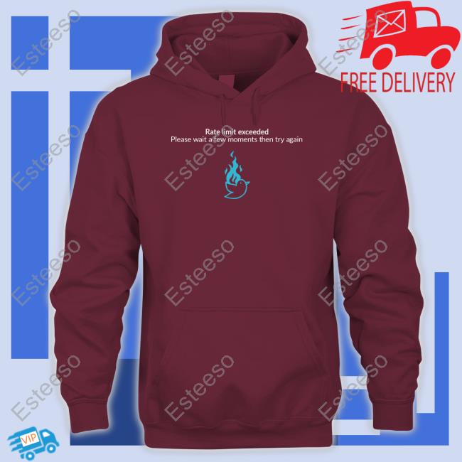 Rate Limit Exceeded Please Wait A Few Moments Then Try Again Hoodie